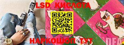 индика Кандалакша