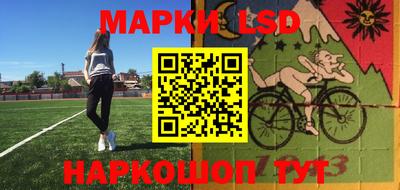 стаф Канаш