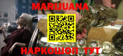 индика Кандалакша