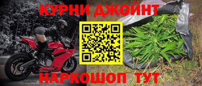 индика Кандалакша