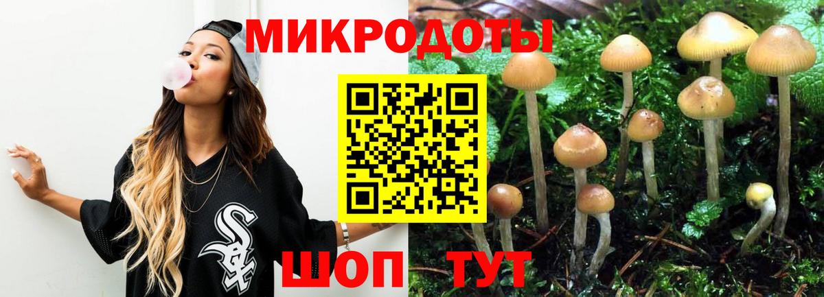 Галлюциногенные грибы мицелий Искитим